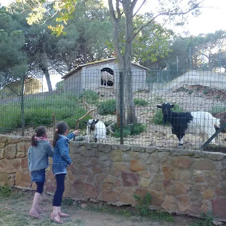 A 100 M Plage,centre,marche, 3ch Fleury (Aude)